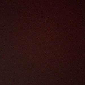 Meet your Posher, Raizy